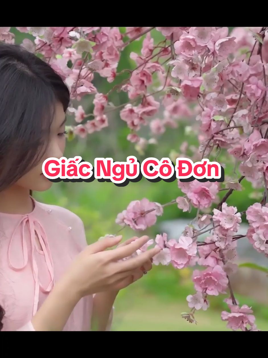 #Giấc Ngủ Cô Đơn #nhạchaymỗingày #63quêtôi #mỹthoquêtôi #tâncổgiaoduyên 