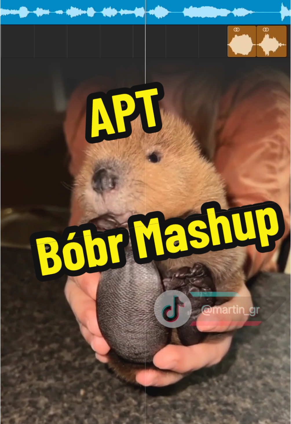 APT Bóbr Mashup #bober #bobr #memes #mashup #fyp #foryou #fypシ゚ 