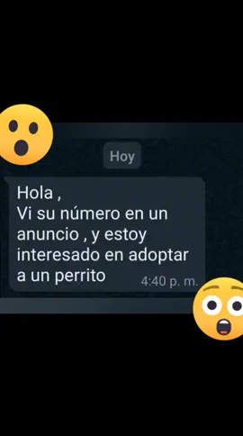 #miedoyterror #conversaciones #adoptarperritos💞 #perroraro 