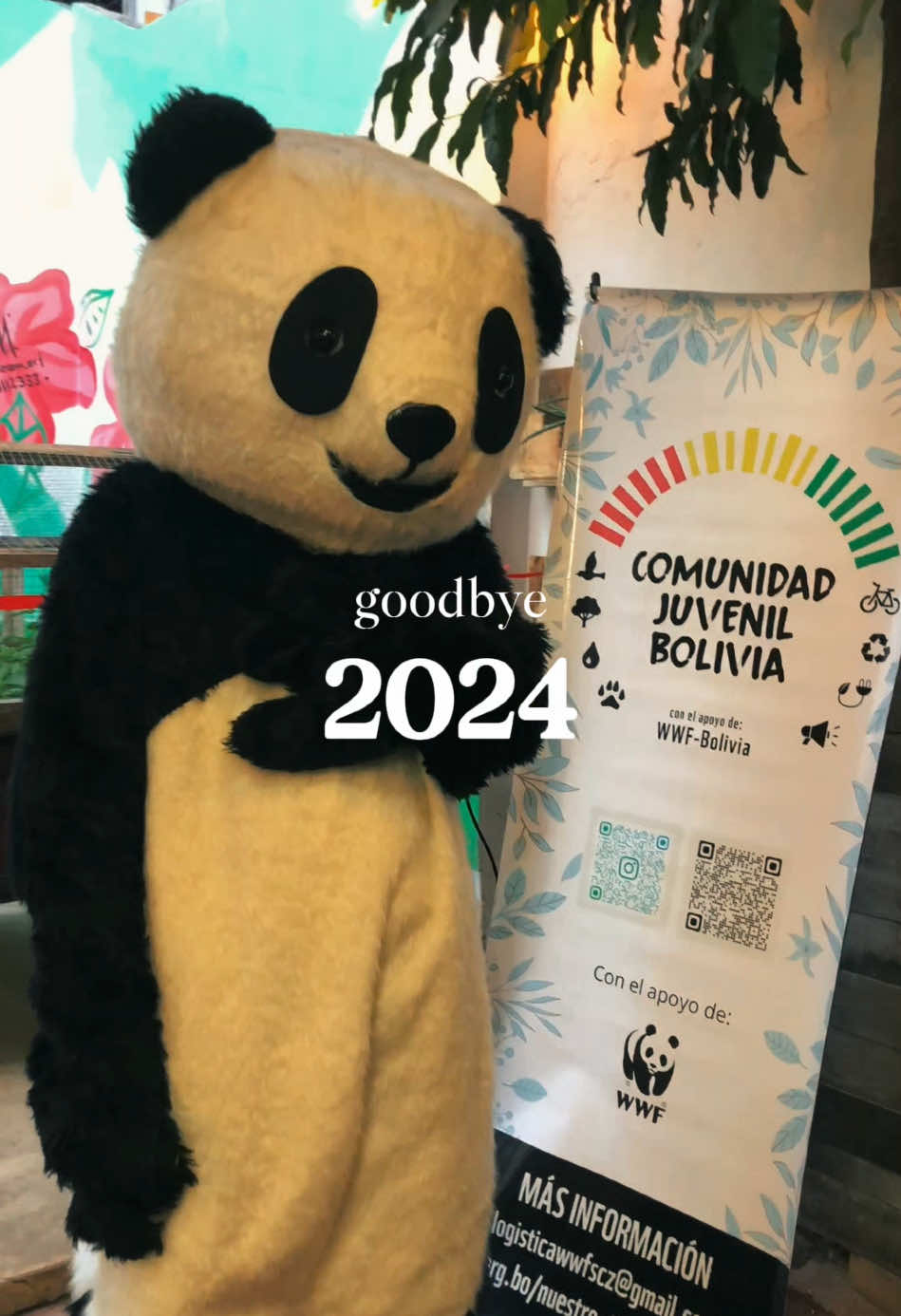 Así culmina el 2024 para la Comunidad Juvenil Bolivia - Santa Cruz 💚🐼  Hasta un pronto encuentro en 2025! ✨ #conelapoyodewwfbolivia #sczbolivia🇳🇬🇧🇴 #scz #voluntariado 