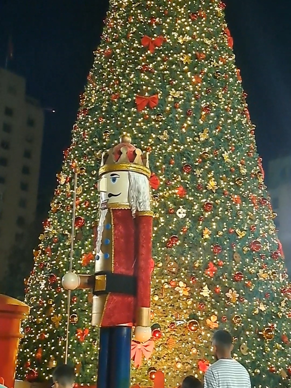 visitando el árbol de navidad de #lamonedachile 😇🥰😍 un lugar muy lindo para compartir en familia . espero puedan ir y vivir la experiencia.  #chile #santiago #lamoneda #venezolanosenchile #chilenos #regionmetropolitana #navidad #navidadentiktok 