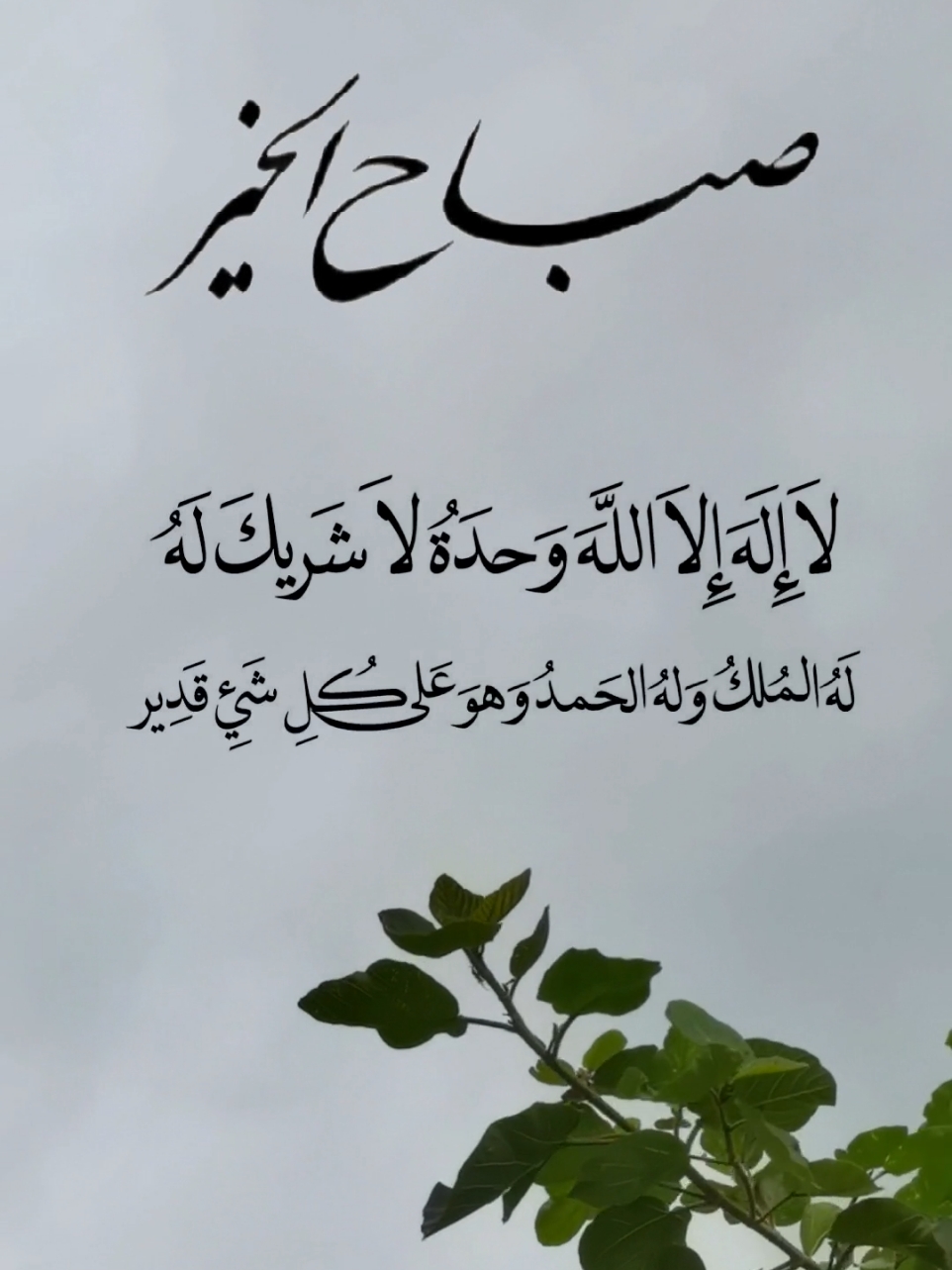 لا اله الا الله وحده لا شريك له الملك وله الحمد وهو على كل شيء قدير #صباح_الخير #اذكار_الصباح_والمساء #اذكار#اكسبلوررررر #محمد_الصبيحي #سبحان_الله #oops_alhamdulelah#لااله_الا_الله #الله_اكبر #لا_حول_ولا_قوة_الا_بالله#سبحان_الله_وبحمده_سبحان_الله_العظيم# 