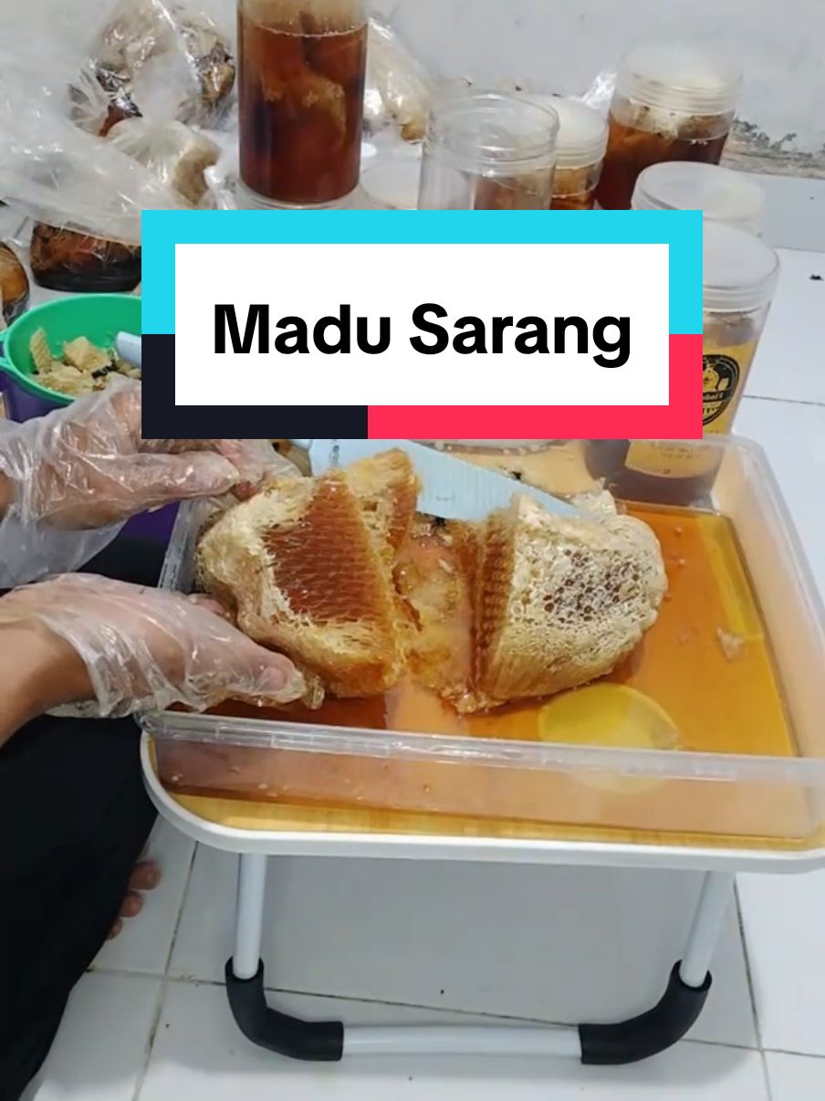 #LIVEhighlights #TikTokLIVE #LIVE  Bisa Lihat secara langsung pesanan madu sarang nya di live kami kak 😇 