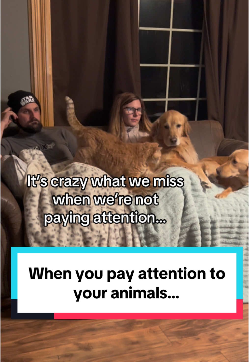 When you pay attention to your animals, you notice a whole other world that they live in. #catanddogrelationships #cuddlepuddle #dogcamera 