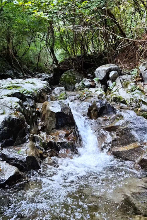 Calm valley 🍀💦 #naturevibes #nature #valley #forest #calm #calmdown #relax #livewallpaper #koreatravel 