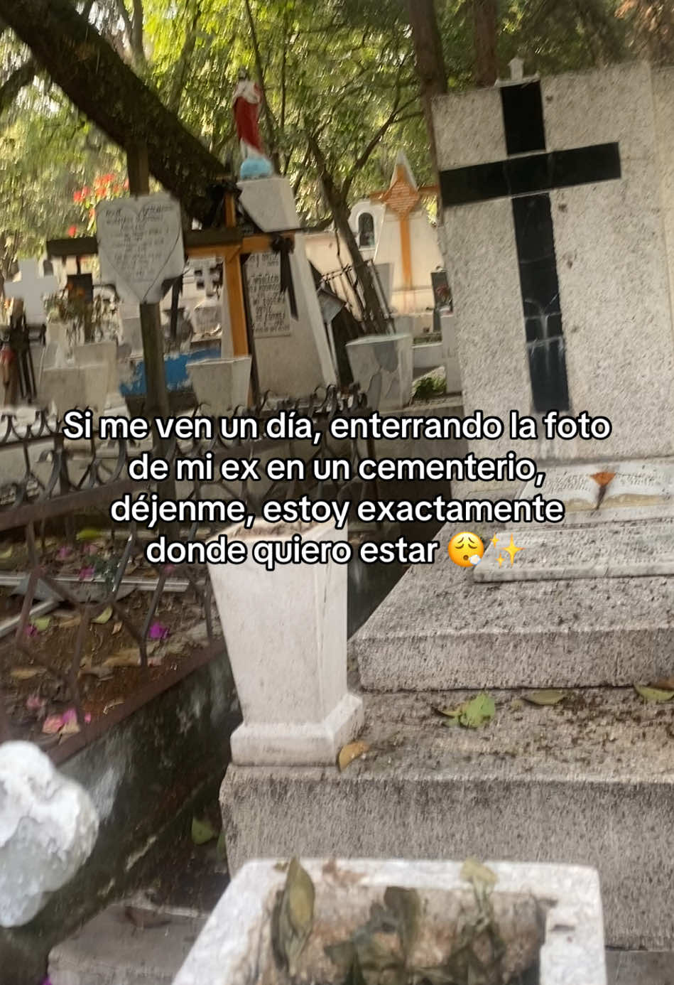 Ese movimiento involuntario, y de los músculos no siempre es por stress bb 😝 #smevenfelizdejenmeenpaz #trendingvideo #fyp #entierro #necromancia #tearrastroconmigo #brujeria #narci #brujo #bruja #cementerio #camposanto #apenasteconozcoyyatevas 