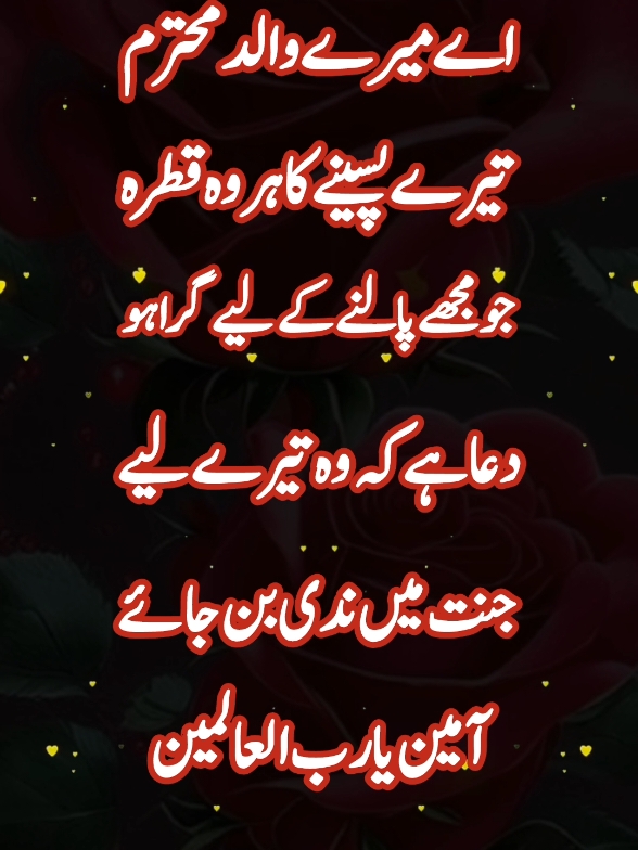 آمین یارب العالمین #forupage #fyp  #vairalvideo #urdupoetry #urdushairi #urdu #typ #status #100k #5000k #tiktoklover #1millionaudition #eqrawrites333   #tiktokpakistanofficial@عبدالقادر رائٹس 