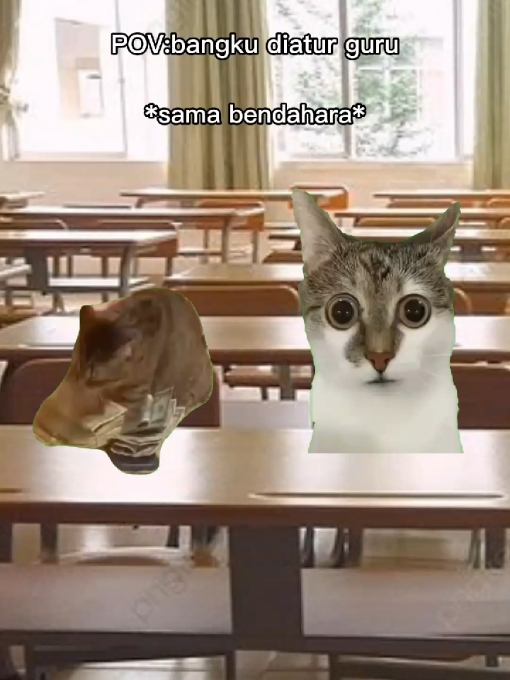 POV bangku diatur guru || #fyp #fypシ゚  #fypage #fyppppppppppppppppppppppp #kucing #kucingmeme #meme #pov #trend #capcut