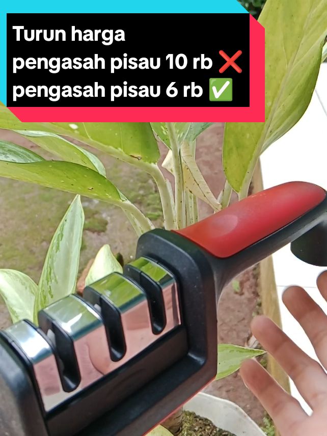 pengasah pisau 3 in 1 lagi turun harga  cek keranjang kuning aku kalian dapat harga berapa #pengasahpisau  #turunharga 