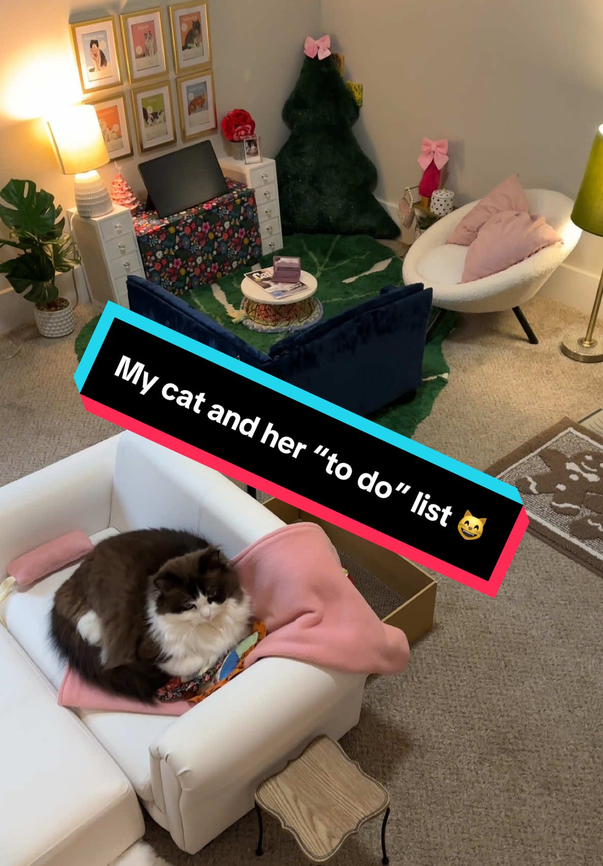 As you can see, Meredith has a full schedule of things to do most days 😹 #ragdollcat #catlover #catoftiktok #cattok #catroom #catpiano 