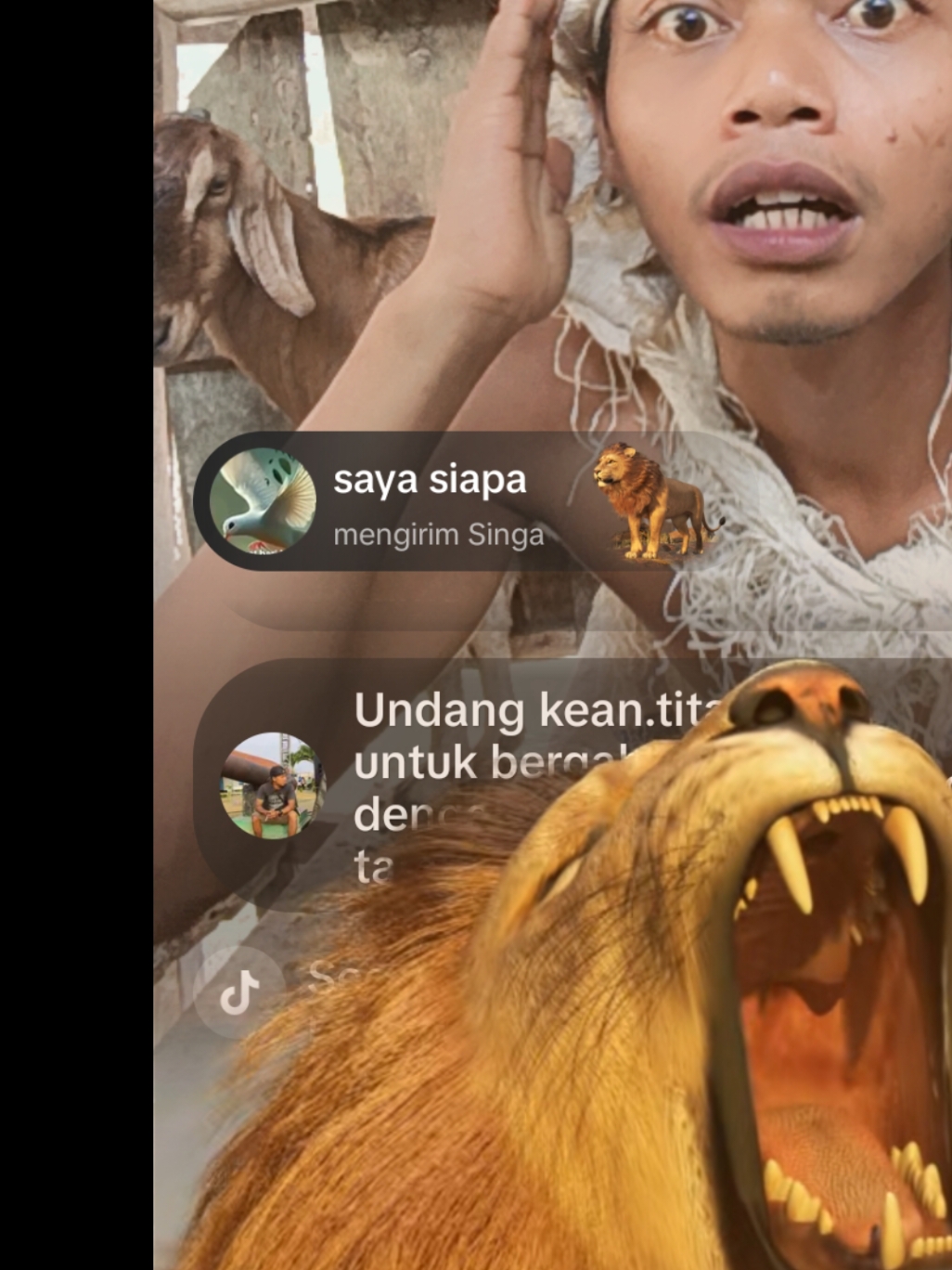 saya siapa, terima kasih atas dukungan luar biasa Anda di LIVE saya! Saya akan terus membuat konten LIVE yang lebih baik! @saya siapa #livegift #lion #singa 