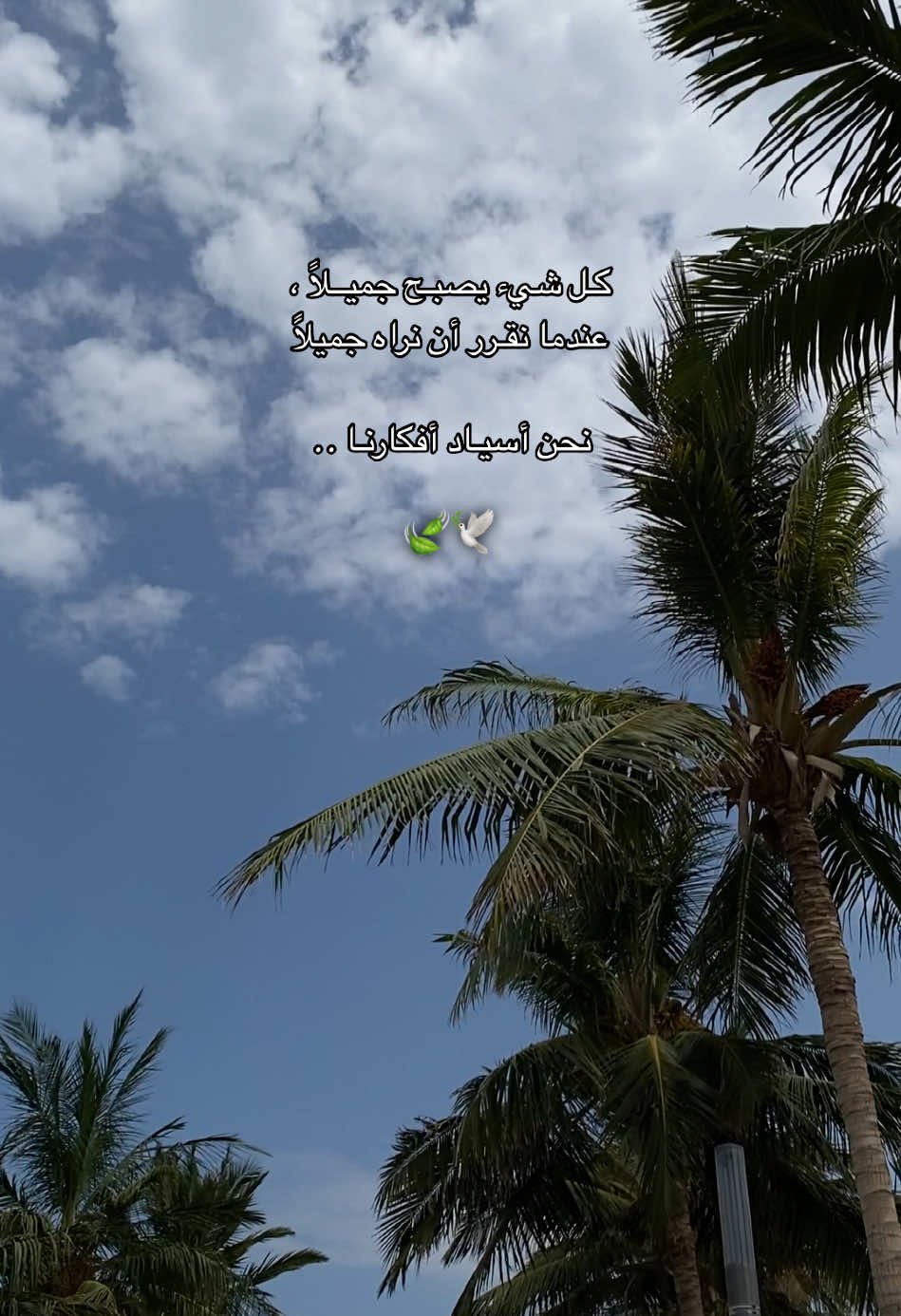 🕊️🍃 #نصيحة #هدوء #الحياه #جمال_الحياة #الحمدلله_دائماً_وابداً #foryou #fypシ #اكسبلورexplore #اقتباسات📝 