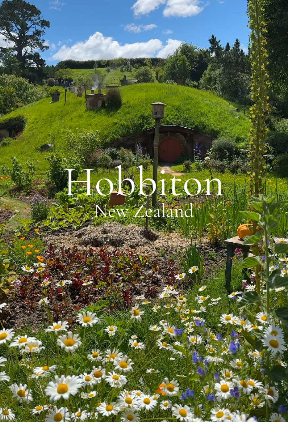 Run with me to Hobbiton, New Zealand 🛖 Klook discount code: KEVENRUNKLOOK 🐑 Not a LOTR / Hobbit fan but this place is “precious” ! #travel #newzealand #nz #hobbiton #theshire #lotr #scenic #foryou #foryoupage #fyp #tiktok #explorepage #travel #fypシ #traveltiktok #travellife #travelbucketlist 