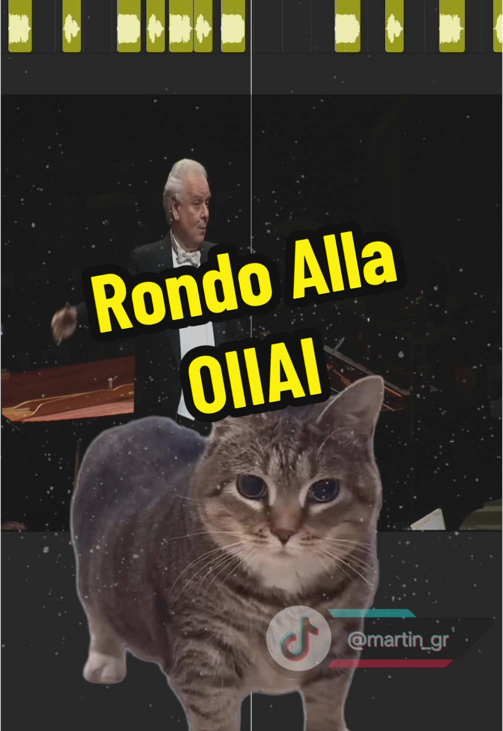 Rondo Alla OIIAI @Ethel the OIIA Cat  #cat #oiiaiiooiiai #memes #mashup #fyp #foryou #fypシ゚ 