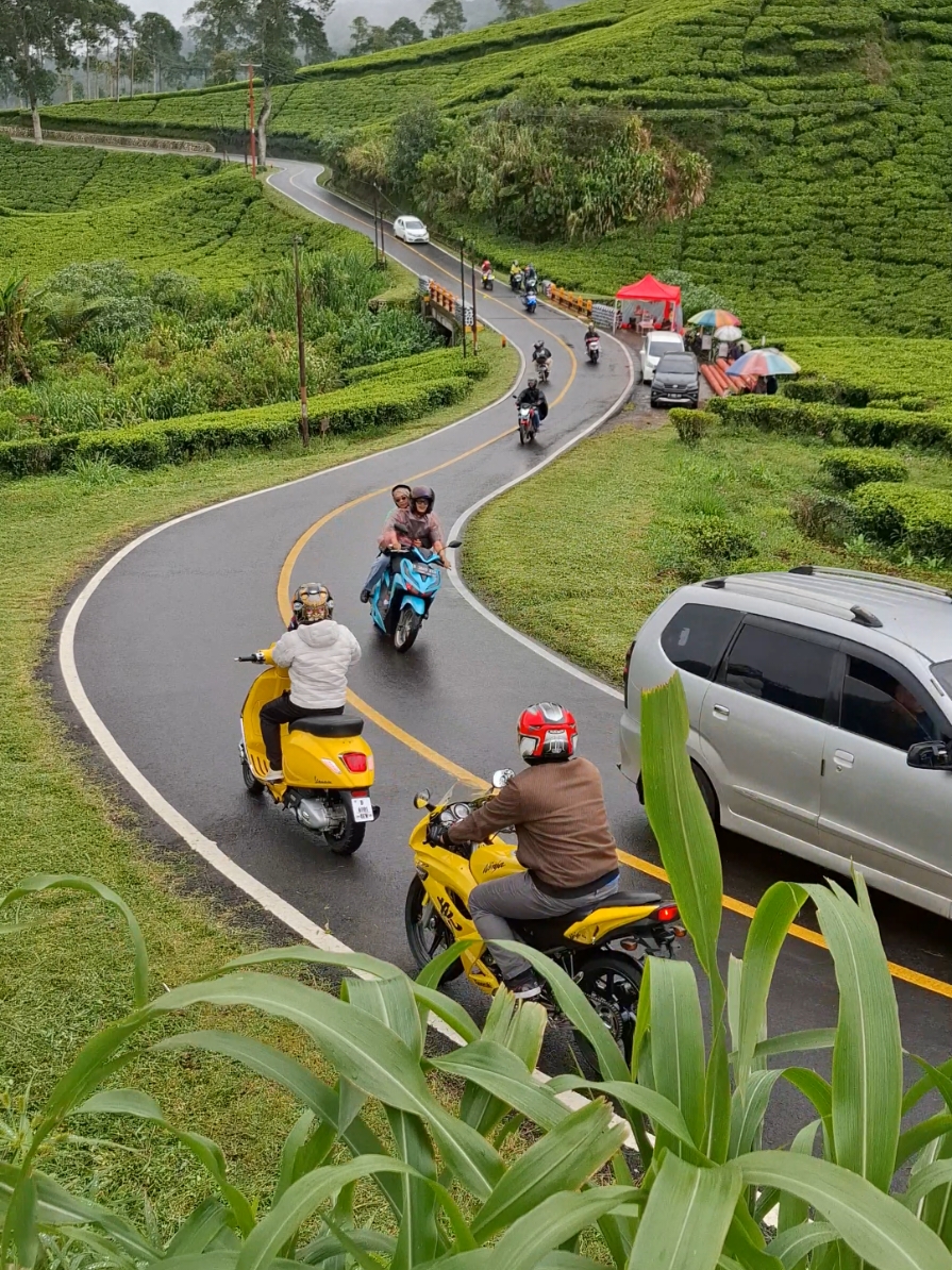 Ciwidey After Rain  #ciwidey  #wisataciwidey  #wisatabandung #wisatabandungselatan #exploreciwidey #kebuntehciwidey