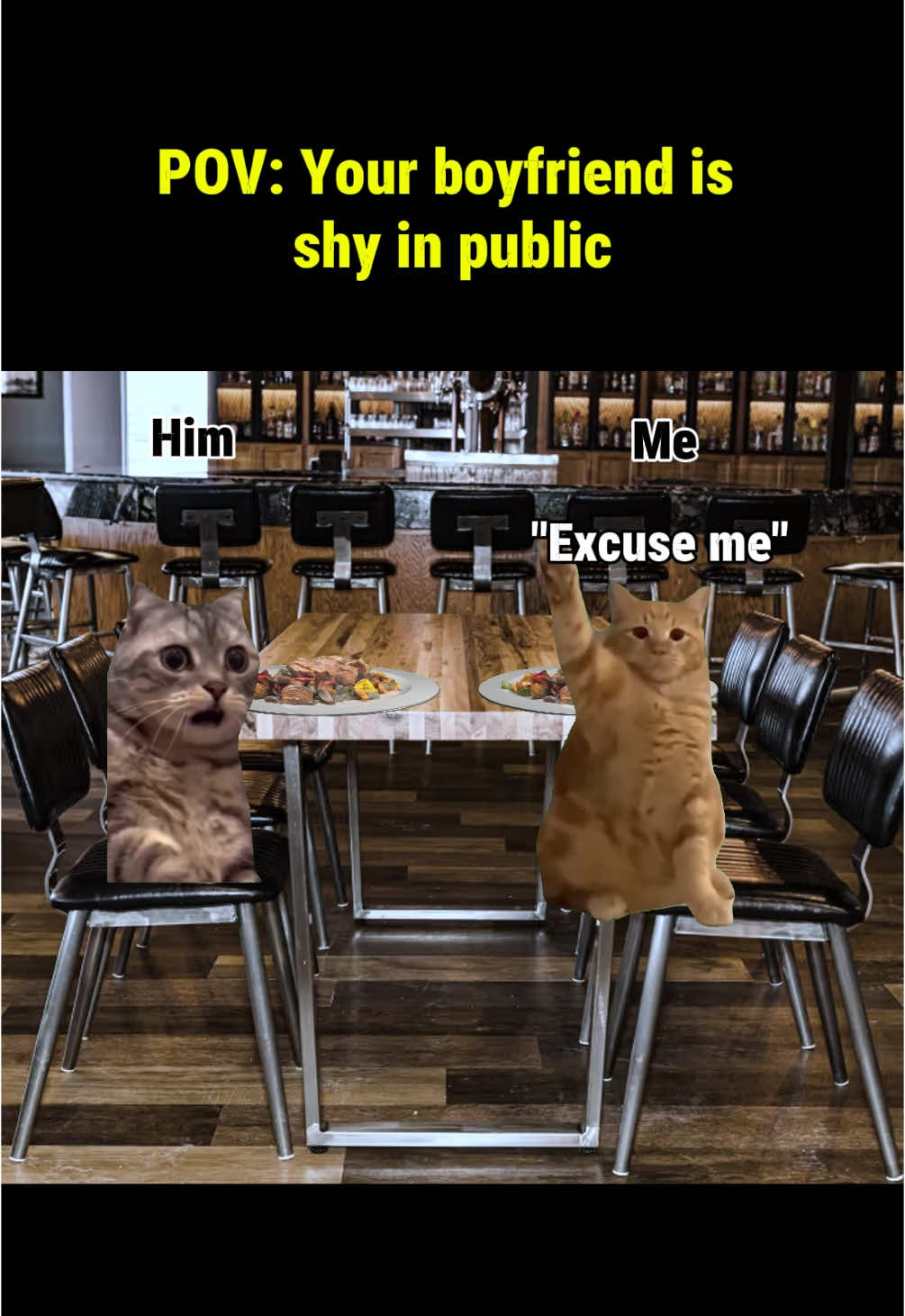 The shy boyfriend in public  #Relationship #catmeme #relatable #catsoftiktok 