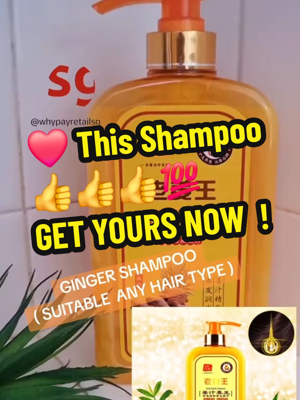 Over 2 weeks Of Using This Ginger Sampoo. My oily scalp and dandruff Has Been Seem Improve So Well.  If You Are Someone Like My Hair Condition.  You Have To Try This.. Result MEET My Expectations. GET YOURS NOW  !  #fyp #shampoo #haircare #ginger #hair #gingershampoo #hairwash  #oilyscalp #dandruff #tiktokfinds  #tiktokmademebuyit #TikTokShop  #tiktokshopsg #tiktokshopsgsale  #createtowin #weeklywedrush  #tiktoksg #sgtiktok #shoptiktok  #singaporetiktok #tiktoksingapore  #tiktoksingapore🇸🇬 #singaporetiktok🇸🇬 