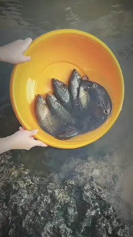 Khi trái tim không chỗ nương náu thì đi đến đâu cũng là kẻ lang thang cần chữa lành… trong một thế gian đang ngày càng tối tăm hay vì đi tìm…thì mình hãy trở thành ánh sáng của chính mình ☺️ #diuthy #phongsanh #rằm #tatcaphapgioichungsanh #nammoadidaphat 