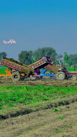 #میرا_سہنا_پنڈ_ساندہ_چستانہ_ظلع_قصور😇🌺🌴🌱🌾🎋 #dontunderreviewmyvideo #fypシ゚viral #video #foryoupage #unfreezemyacount 