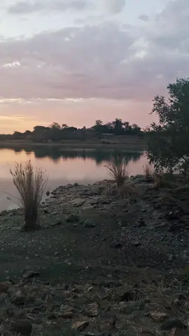 Nature’s Christmas Gift!   Our game drive took us to a serene river, where we caught a breathtaking sunset and spotted incredible wildlife. Moments like these remind us of the beauty of the wild. 🛻🦓❤️ #SafariSunset #FamilyAdventure #sunset #safari #gamedrive #family #botswana🇧🇼tiktok #botswana🇧🇼tiktok #fyp  #WildChristmas