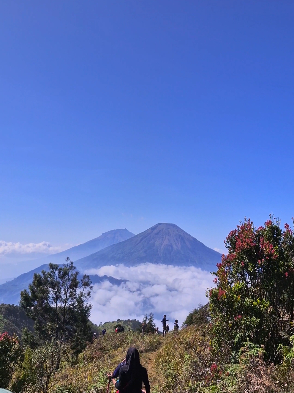 lautan awan ☁️⛅️#TTPetualangPro #xybca #fypp #fyp #trending #wonderfulindonesia 