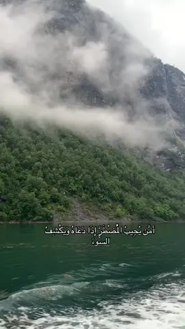 أَمَّن يُجِيبُ الْمُضْطَرَّ إِذَا دَعَاهُ وَيَكْشِفُ السُّوءَ #امن_يجيب_المضطر_اذا_دعاه #ويكشف_السوء #سورة_النمل #جابر_القيطان #الا_بذكر_الله_تطمئن_القلوب #صدقه_جاريه #quran #fyp 