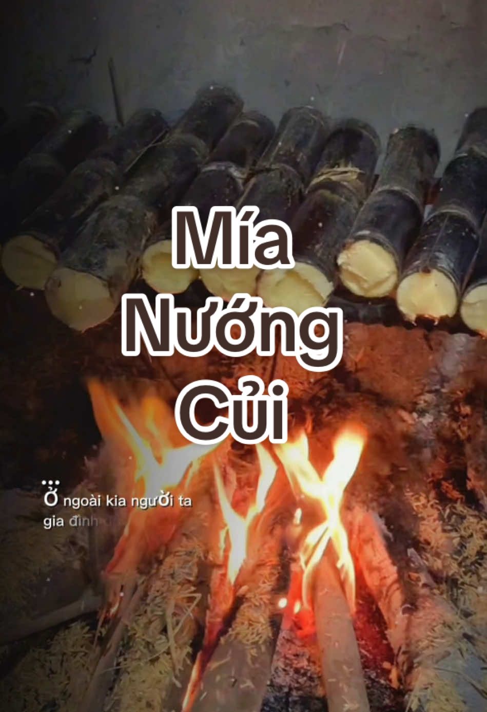 Mía Nướng #monngon #thaibinh17 #tiktokviral #monngonmoingay #thaibinh #quehuong #monanvietnam 