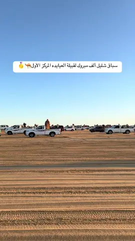 #الهجن_الاصايل 