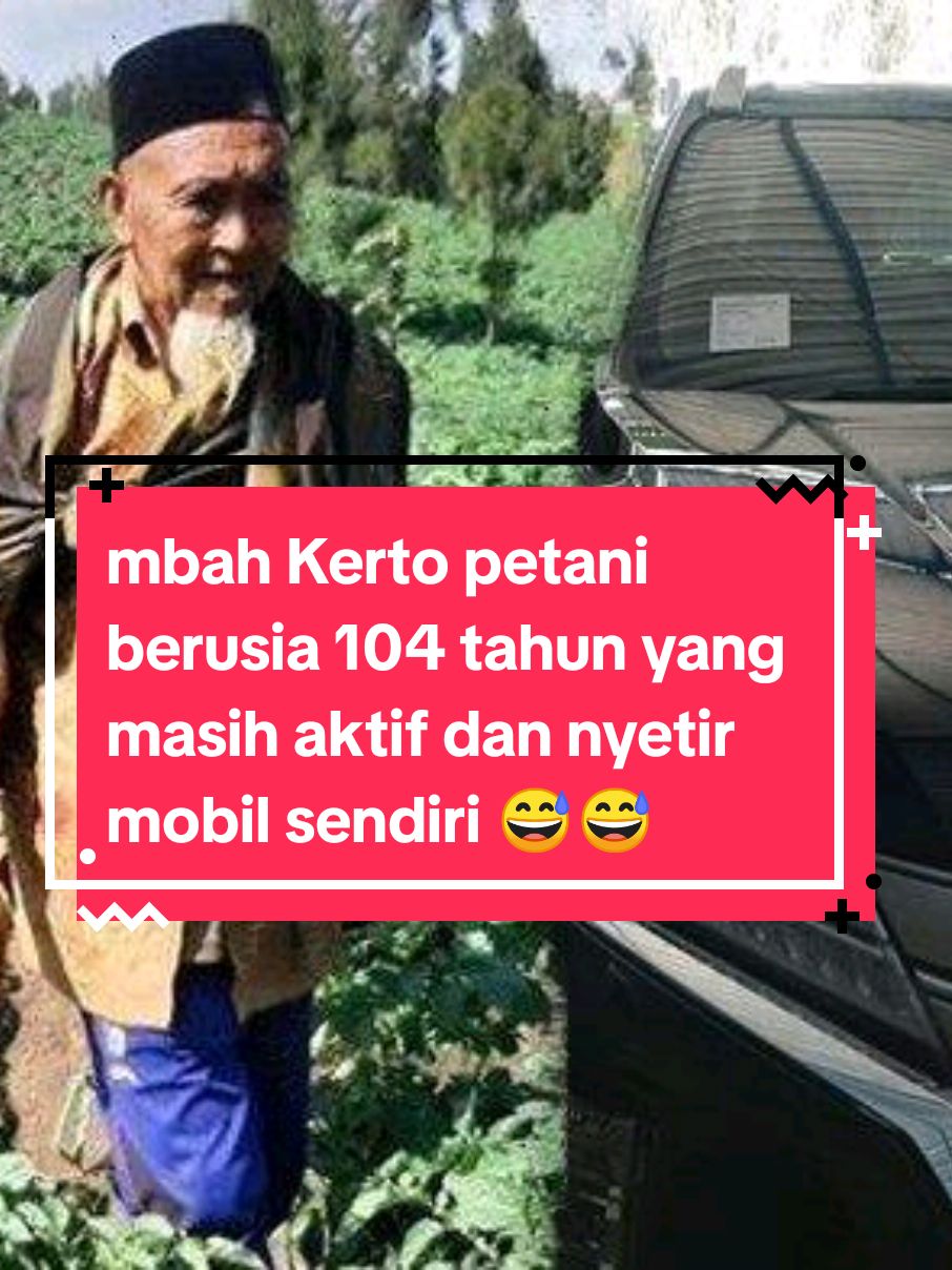 #kisahsukses #petanisukses #fyp #petani mbah kerto usia nya sudah mencapai 103 tahun yang masih aktif di ladang 