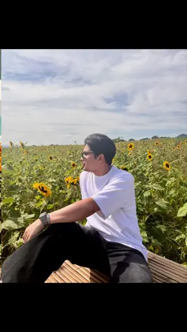 #sunflower 