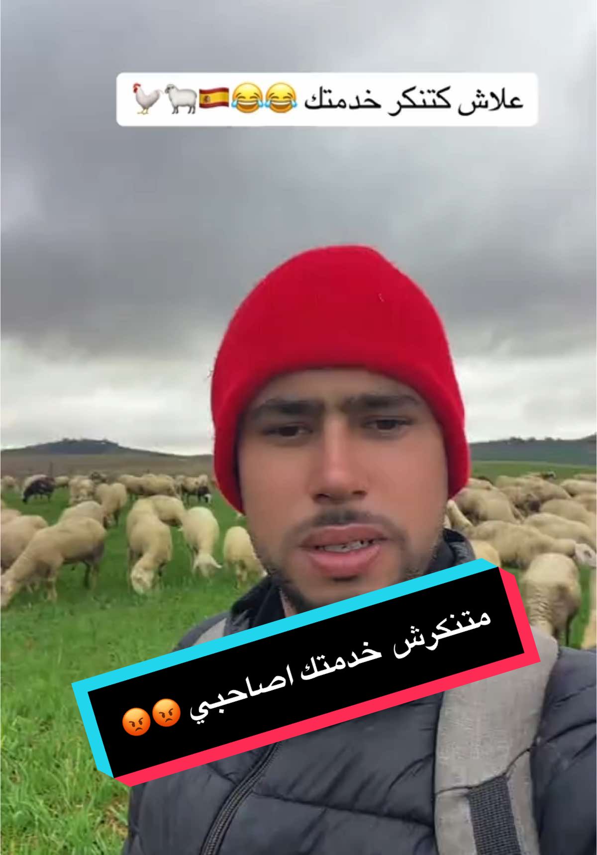 @🌳🐑راعي الغنم في اسبانيا 🐏🌳 #فرنسا🇨🇵_بلجيكا🇧🇪_المانيا🇩🇪_اسبانيا🇪🇸 