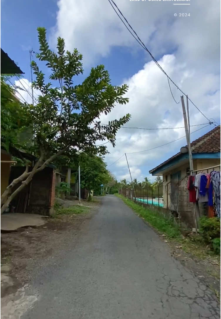 Dusun Cemoro, Desa Balak, Kecamatan Singojuruh, Kab. Banyuwangi. Kunjungi Channel Youtube LAND OF OSING BANYUWANGI untuk menonton video durasi panjang. #banyuwangi #landofosingbanyuwangi #dheonlandos #balak #songgon 