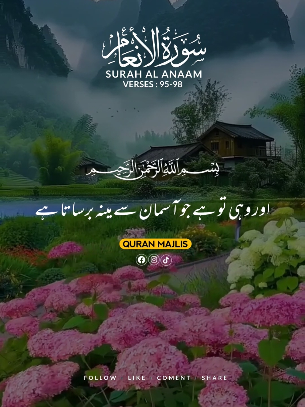 SURAH AL ANAAM 🌺 VERSES (95-98)#islam #qurantranslationurdu #alquran #trending #fyp #unfrezzmyaccount 