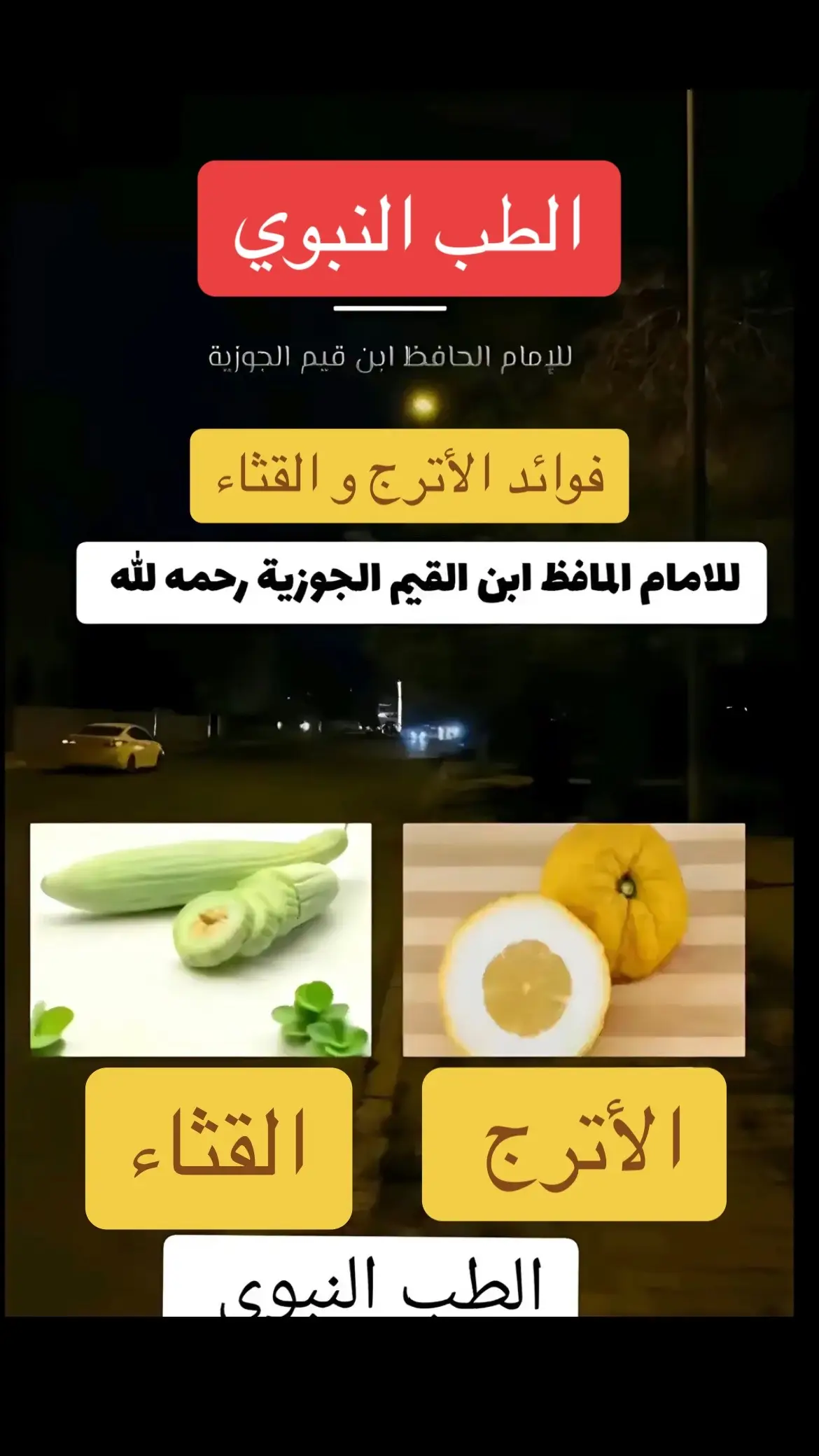 #ابن_القيم