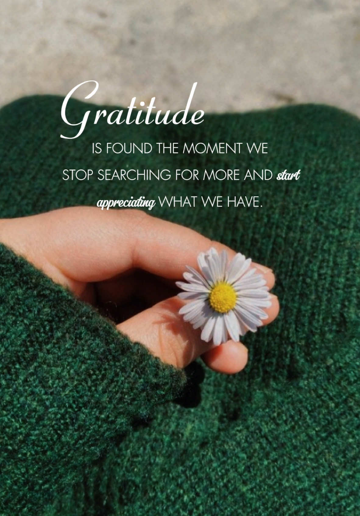 Gratitude. #CapCut #lifequotes #lifethoughts #aesthetic #fyp #inspiration