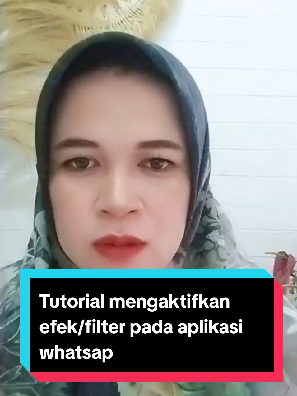 Tutorial mengaktifkan efek/filter pada aplikasi whatsapp #edukasitiktok #tiktokedukasi #edukasipemulatiktok #pemulatiktok #fyp #rimawidilestari 