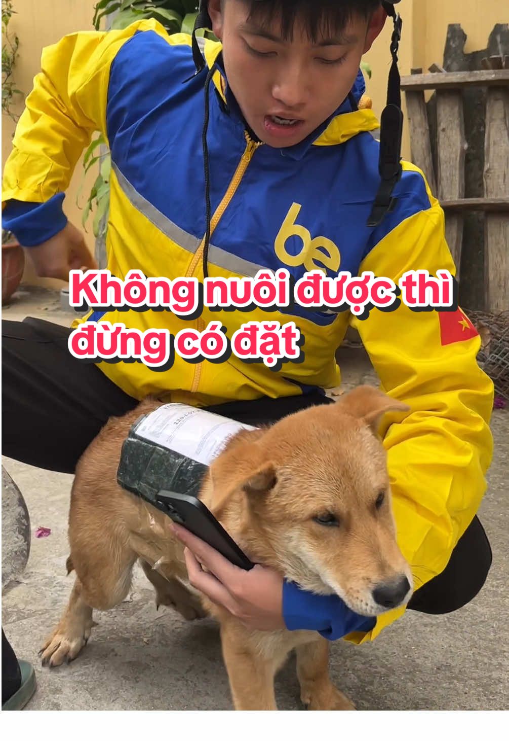 Không nuôi được thì đừng có đặt 😡#xuhuong #haihuoc #giaitri 