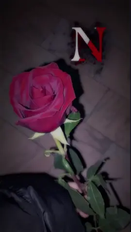 تصاميم احرف اجنبي♥🫶🏻🥰 #تصاميم #تصاميم_فيديوهات #احرف #احرف_تصميمي #اجنبي #اجنبية #اكسبلور #اكسبلوررررر #اكسبلوررر #مشاهدات_تيك_توك #مشاهدات100k🔥 #مشاهداتي #مشاهداتكم⬆️⬆️⬆️⬆️⬆️⬆️ مشاهدات