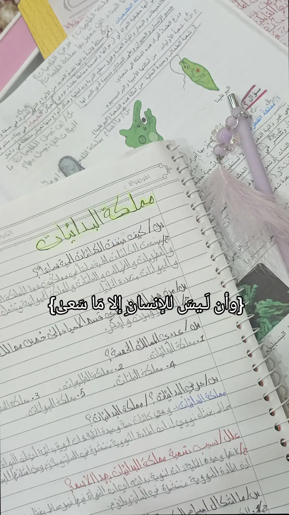 #دراسة#مدرسة#قرأن#تحفيز#تحفيز_الذات #دراسة #مدرسة#ثاني_متوسط #fyp #fypシ゚