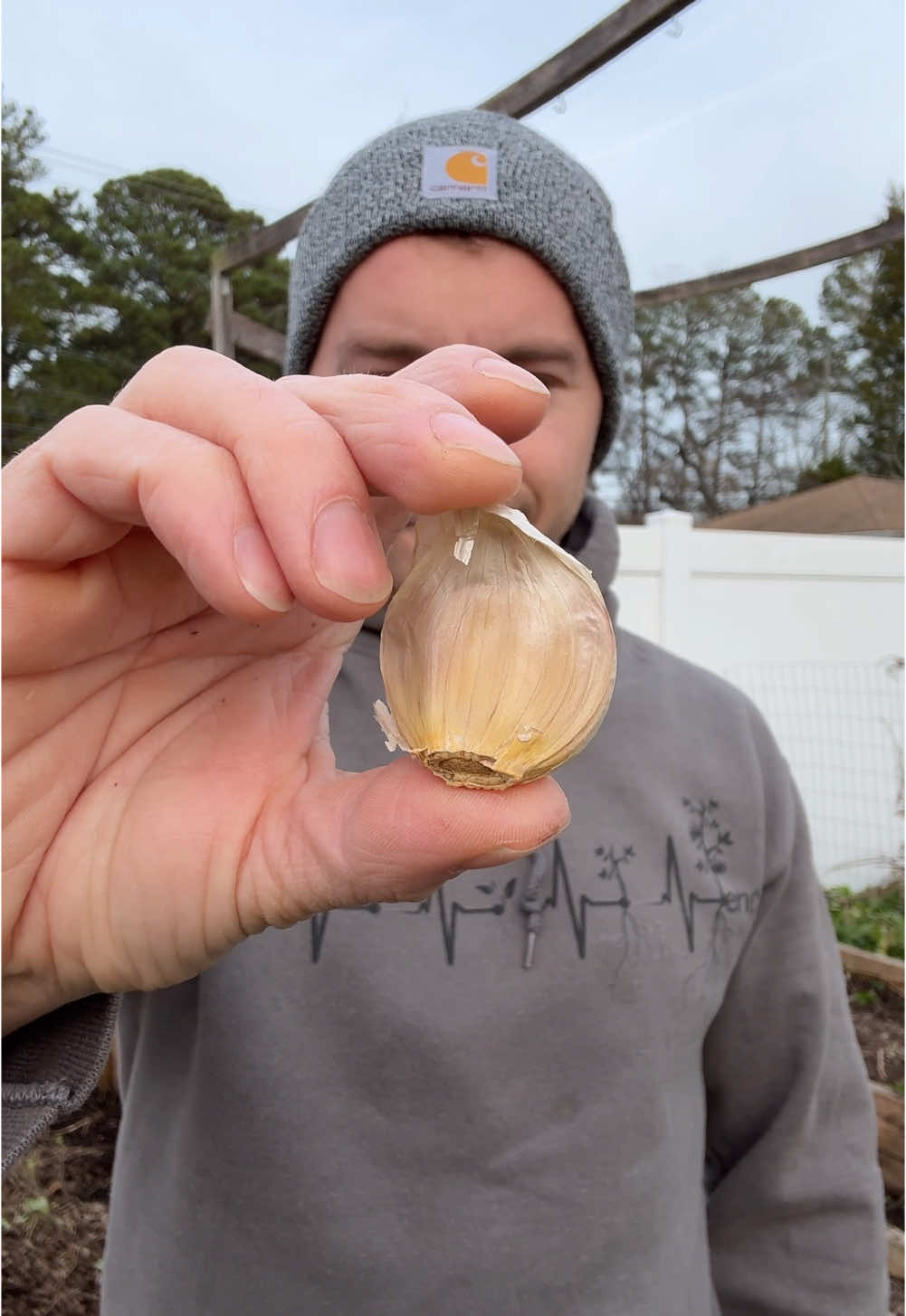 Follow for my Garlic Growing series and learn all of my secrets for growing, harvesting and storing home grown Garlic 🧄  #garlic #gardening #homesteading #backyardhomestead 