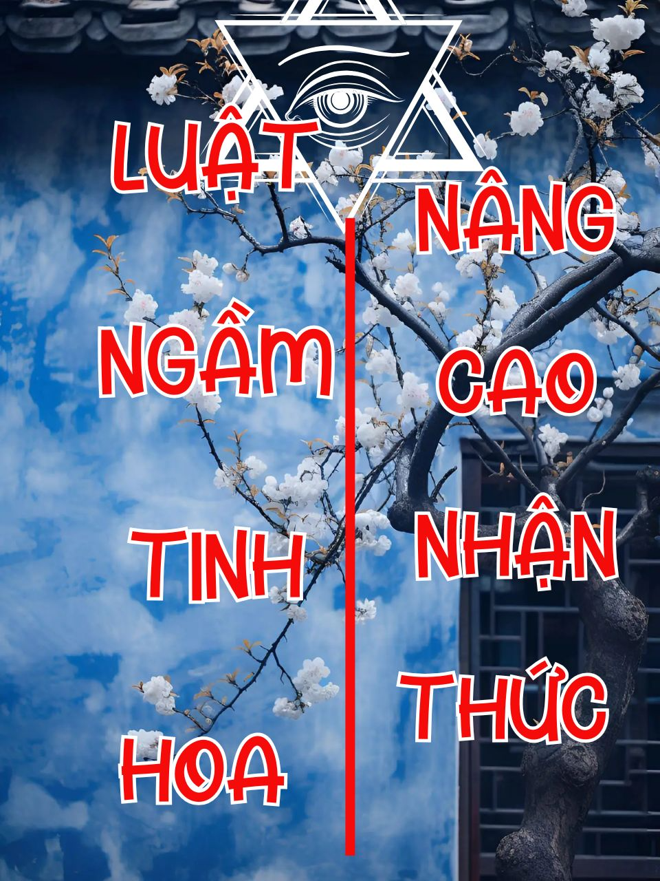 luật ngầm nhà giàu  #luatngamtaichinh #hethongmanhme #tuduysausac