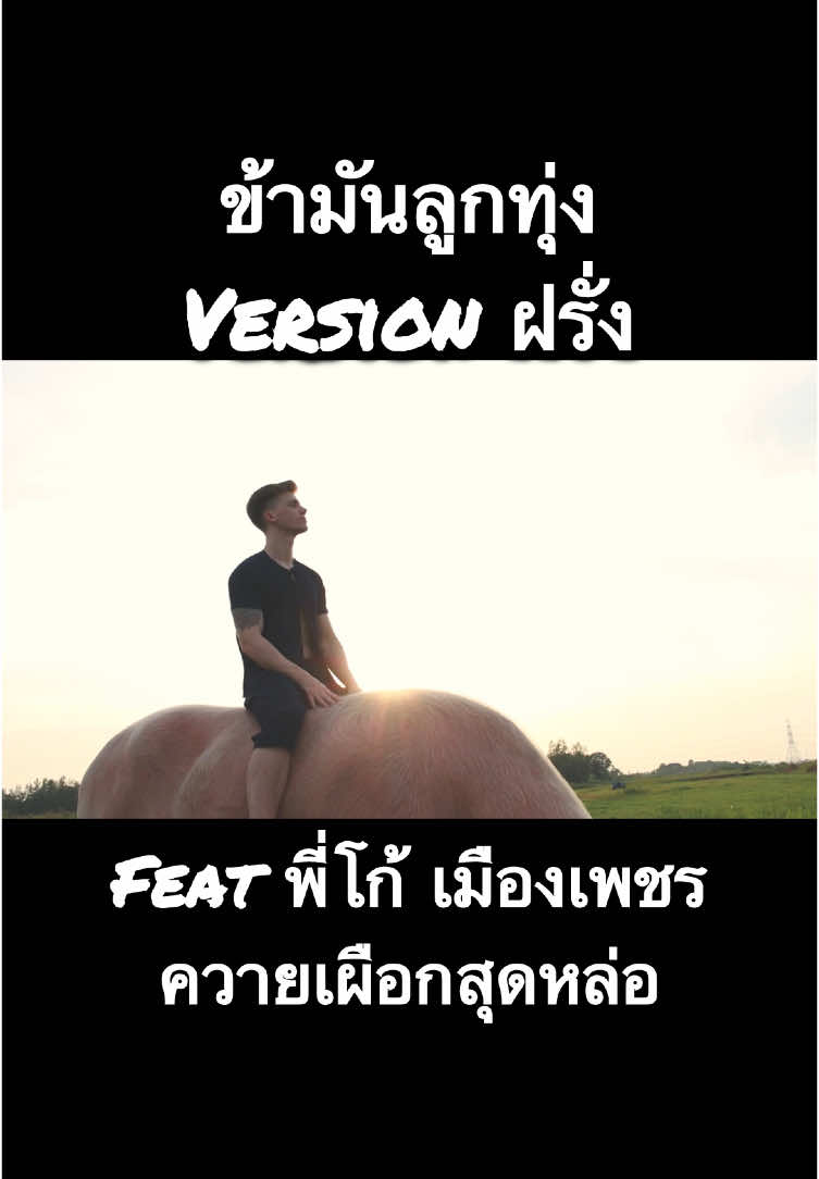 “ข้ามันลูกทุ่ง” ในเวอร์ชั่นนี้ ผมอยากนำเสนอความเป็นไทยและเข้าใกล้ธรรมชาติให้มากที่สุดครับ 🐃 (ขี่ควายครั้งแรกไม่ง่ายเลย 😅) ขอบพระคุณควายเผือก “พี่โก้ เมืองเพชร” ผู้ร่วมแสดงหลักของผม และขอบพระคุณวนาสุวรรณฟาร์มที่เอื้อเฟื้อสถานที่ในการถ่ายทำครับ 🙏🏻🇹🇭 #เพลงใหม่ #เพลงไทย #เพลงฮิต #ฝรั่งร้องเพลงไทย #ฝรั่งร้องเพลง #ฝรั่ง #เพลง #music #singer #coversong #thaisong #Bangkok #fyp #trendingnow #thailand #กรุงเทพมหานคร #กรุงเทพ #เชียงใหม่ #ประเทศไทย #sebastianhansson #ข้ามันลูกทุ่ง #ควายเผือก #วนาสุวรรณฟาร์ม #พี่โก้เมืองเพชร #foryoupage 