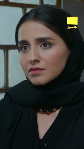 Kya Areeba ko apne faisle par pachtawa ho raha hai? #MominaIqbal #MikaalZulfiqar #MohsinAbbasHaider
