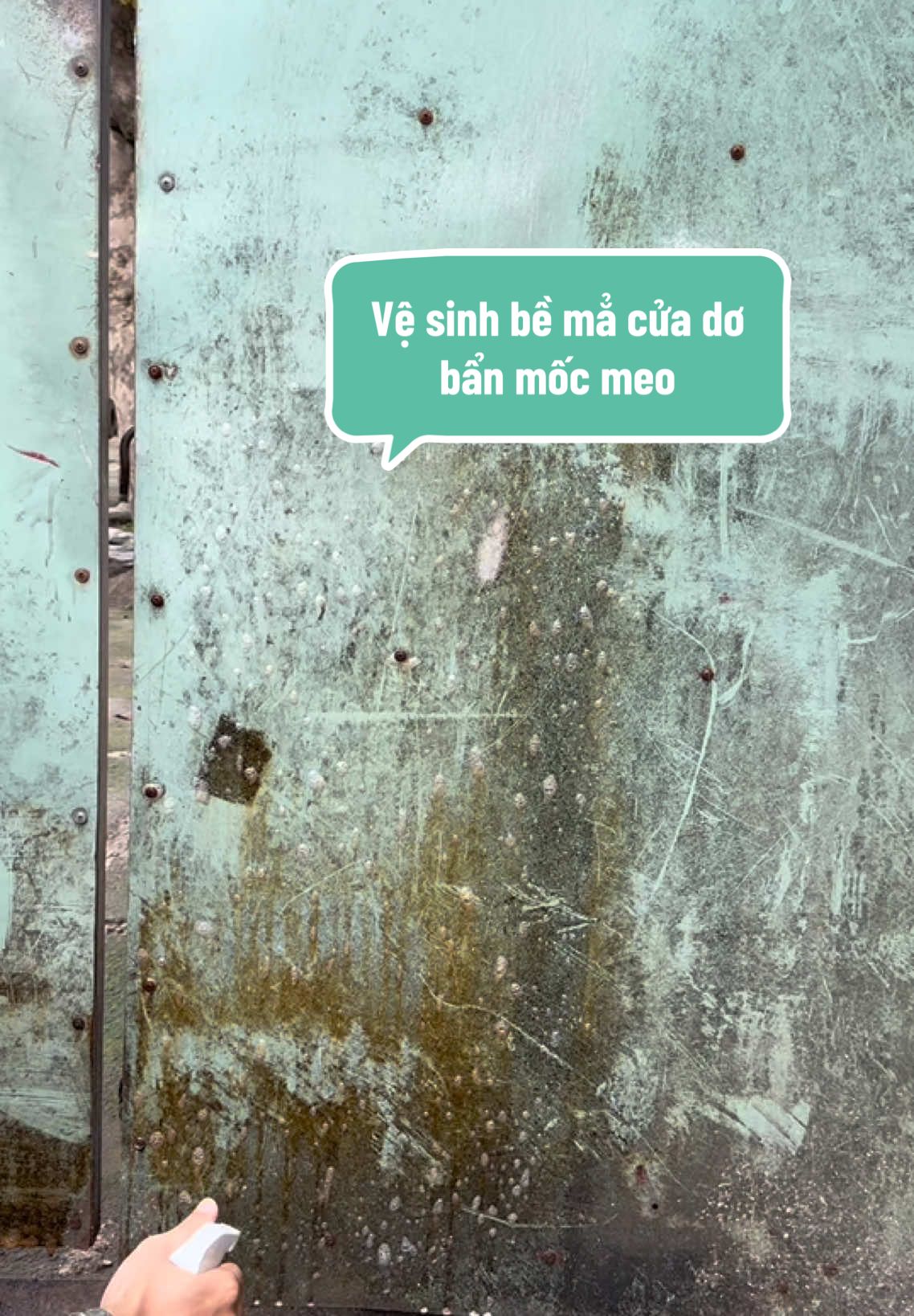 Vệ sinh bề mẳ cửa dơ bẩn mốc meo #LearnOnTikTok #CleanTok #taydanang #nộitrợ #drnatro 