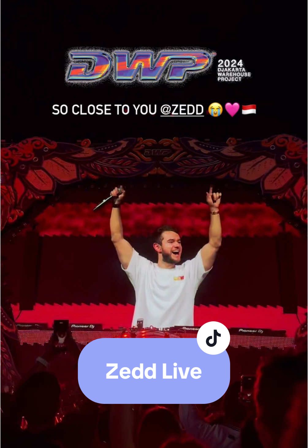 #zedd and #gryffin #live 🥹❤️ #dwp #dwp24 #djakartawarehouseproject 