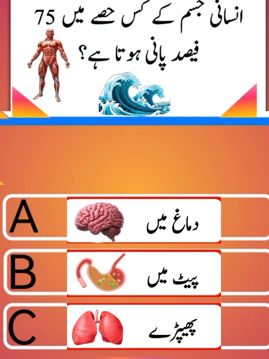 do you know? #fyp #fypシ #fypシ゚viral #fypage #viralvideo #fyp #quiz #foryou_tiktok_viral_video_foryoupage#tayyebquiz#fypage #unfreezemyaccount 