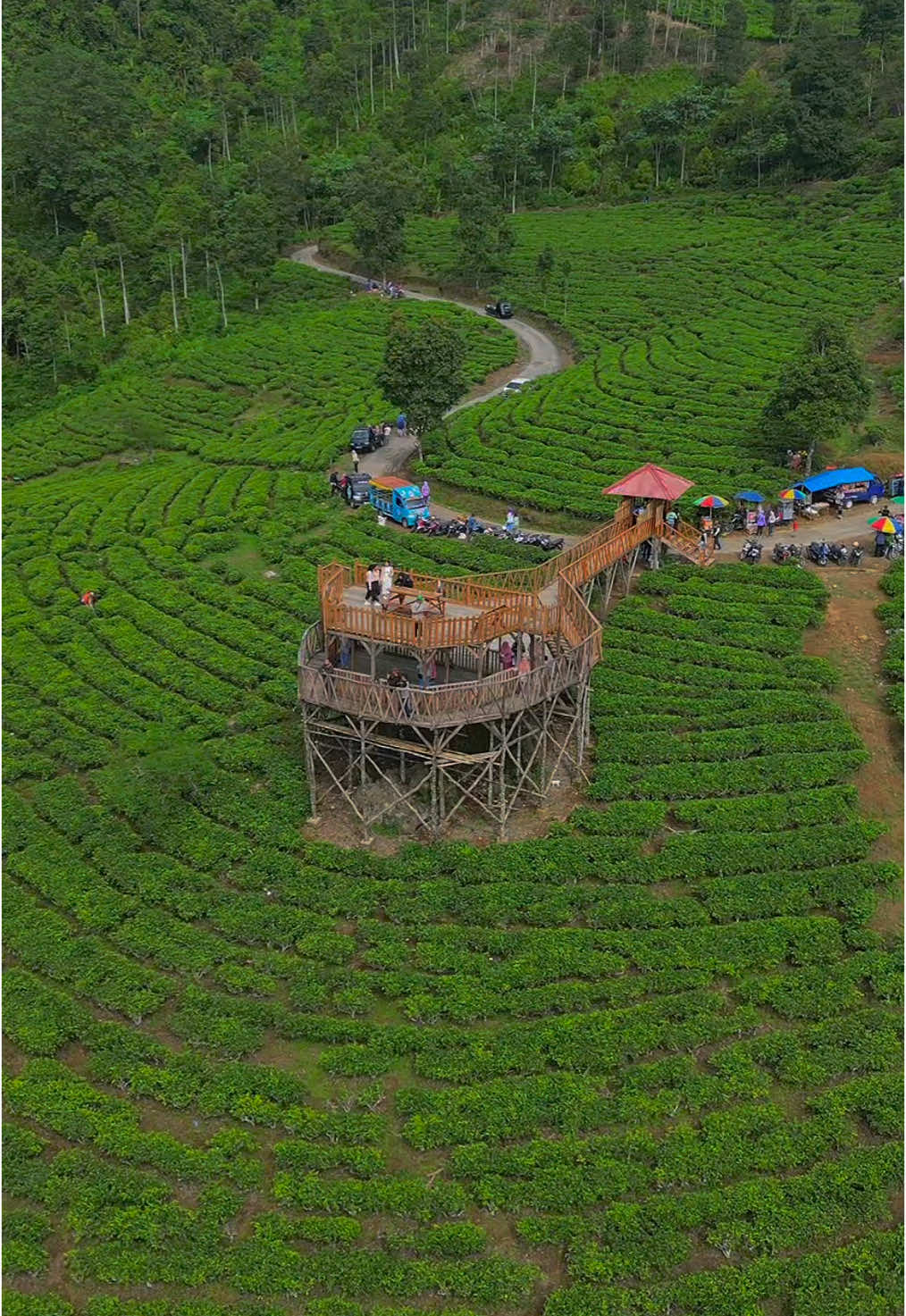 Wisata baru di daerah Garut selatan... tepatnya di Neglasari kecamatan Cisompet... Puncak Lendra HTM : seiklasnya saran : dateng jam 9 atau 11 takutnya lewat dari sana berkabut atau hujan... @Sekitar Pameungpeuk  #puncaklendra #neglasari #cisompet #garutselatan #fyp #wisatagarut #garutpride🔥 #CapCut #kebunteh