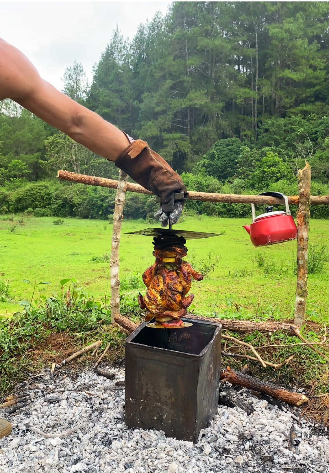 Ayam panggang guling sambal hijau 🏕️🪵💦🇮🇩🔥🌲 Roasted chicken with green sauce #ayamguling #chicken #roastedchicken #chicken #camping #nature #asmr #malino #campfire #indonesia #outdoorcooking #fyp #naturelover 