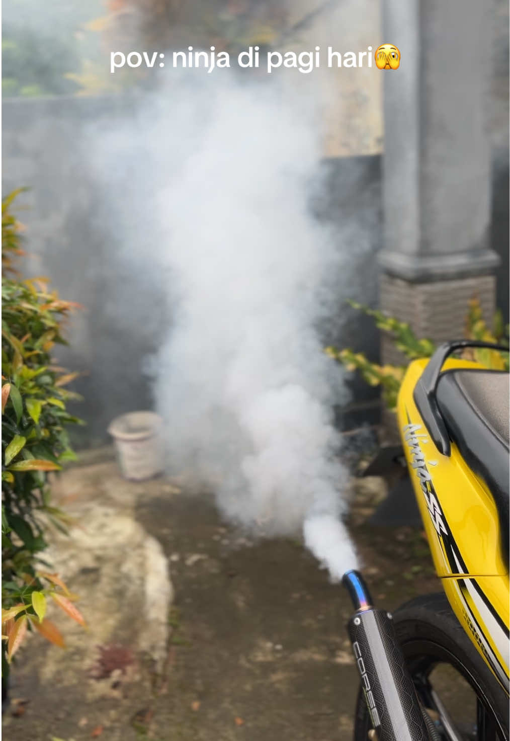 fogging 💨🫣  #ninja #ninjass #twostroke #twostrokeloversindonesia #2stroke 