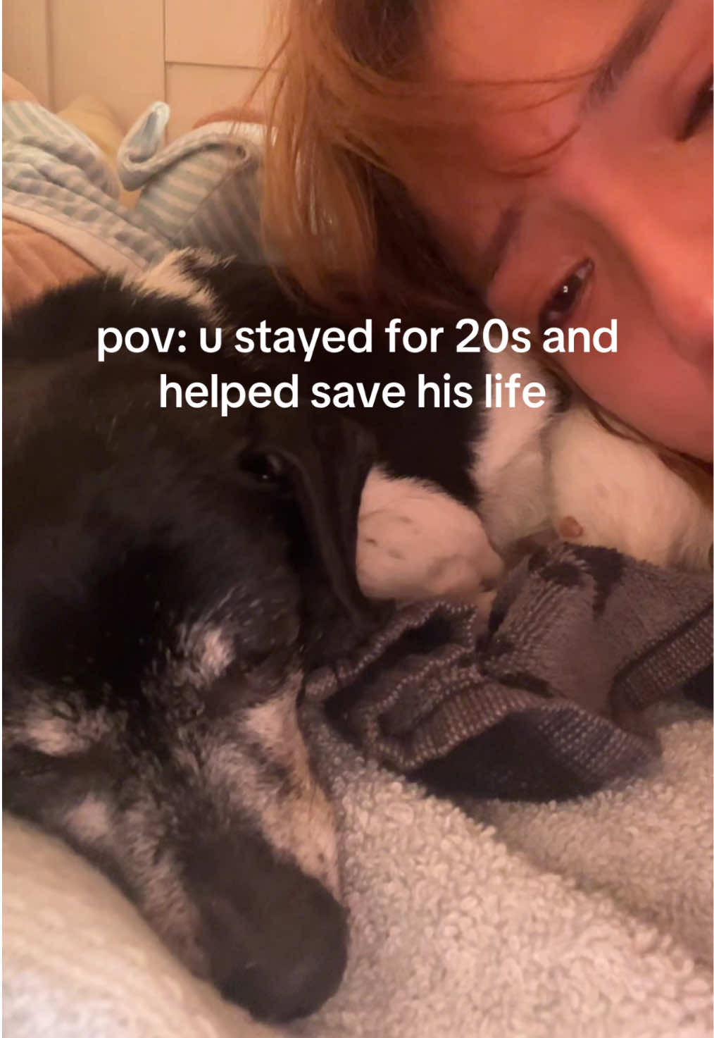 please help me save my #bestfriend ❤️ he is in so much pain i would do anything to take it away. anything helps gofundme link in my bio. #dogmom #dogsoftiktok #dog #chihuahua #urgent #doglover #dogs #doggo #fyp #xyzbca #bts 